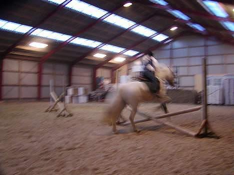 Anden særlig race Patrissia <3 :D   - jaah :D var ikke såå go til at ride der :D billede 4