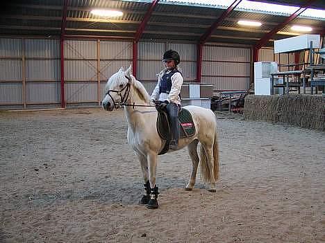 Anden særlig race Patrissia <3 :D   - haaah xD totalt nybegynder :D billede 9