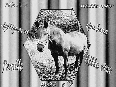 Anden særlig race Pernille*DØD* billede 10