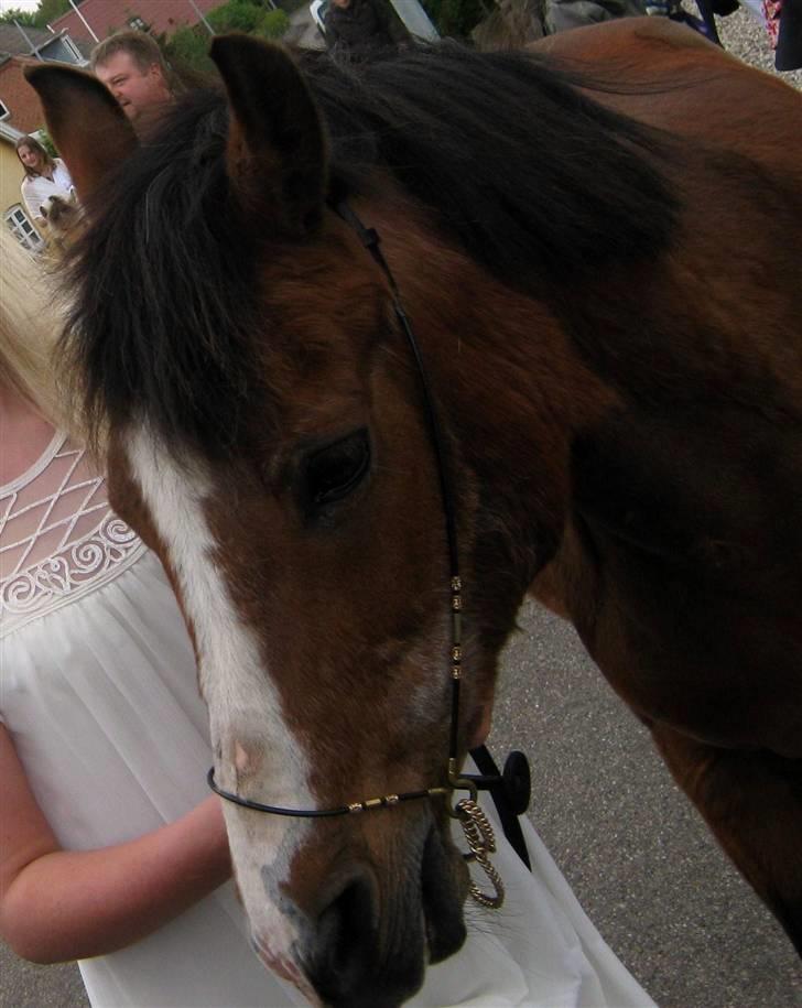 Anden særlig race Lucy<3Aflivet&savnet<3 - Lucy til min konfi,<3 smååkke billede 1