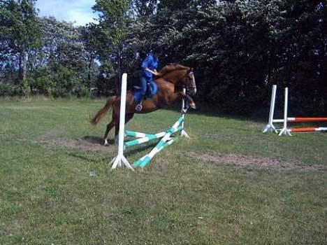 Anden særlig race  Cherie Mon Blair † - Opvarmning på NVR banen  billede 3