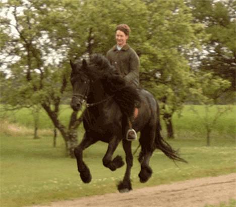 Frieser Wanne H men Master er ok - whoopi!!!!!! Let´s go!!!! billede 1