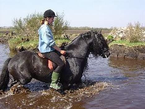 Frieser Wanne H men Master er ok billede 2