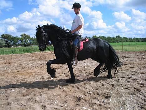 Frieser Wanne H men Master er ok billede 3