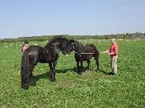 Frieser Wanne H men Master er ok - Hej dejlig Pige, skal vi komme i gang? billede 4