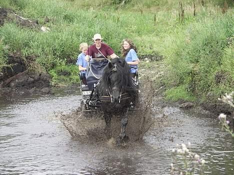 Frieser Wanne H men Master er ok - Dette er jo super sjovt!!!! billede 5