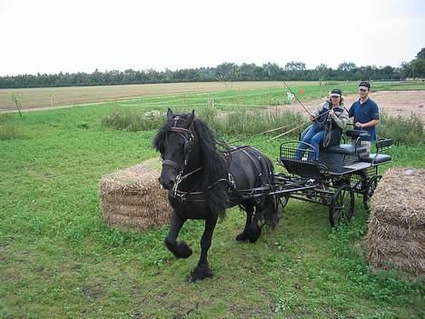 Frieser Wanne H men Master er ok billede 6