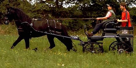 Frieser Wanne H men Master er ok billede 7