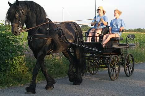 Frieser Wanne H men Master er ok billede 8