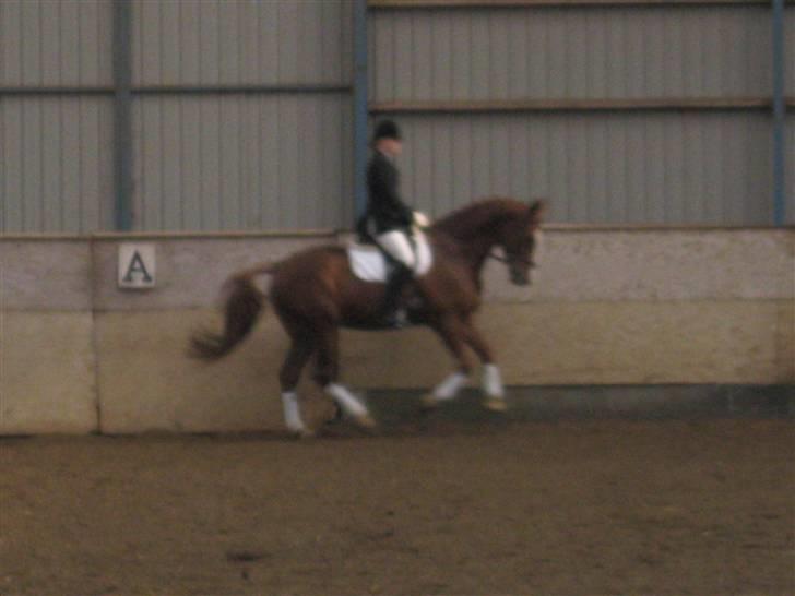 Oldenborg Mosegården Dukat solgt billede 10