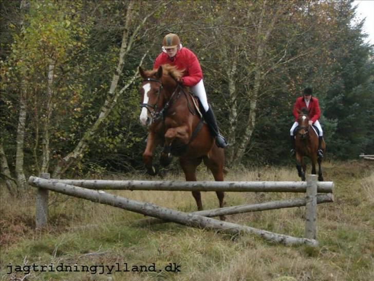 Oldenborg Mosegården Dukat solgt - det her er bare sjovt :) © Cabana Foto billede 11