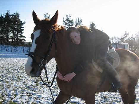 Oldenborg Mosegården Dukat solgt - STOR kram © Cabana Foto billede 12