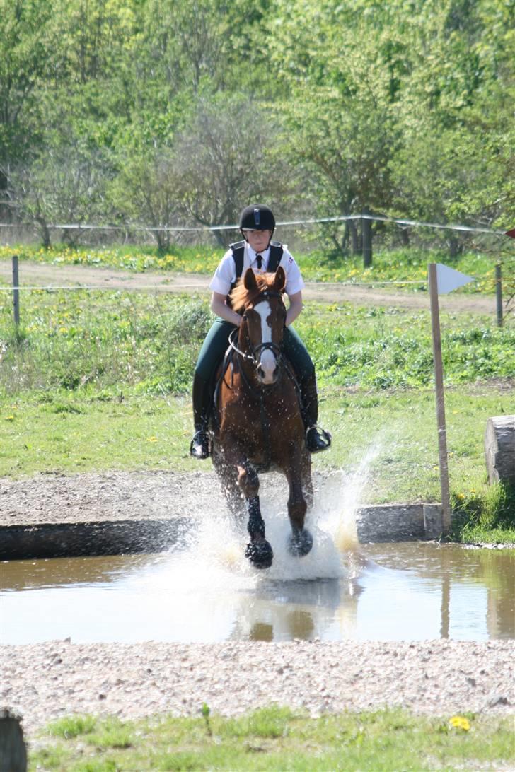 Oldenborg Mosegården Dukat solgt - vand forhendring på søborggård. billede 13