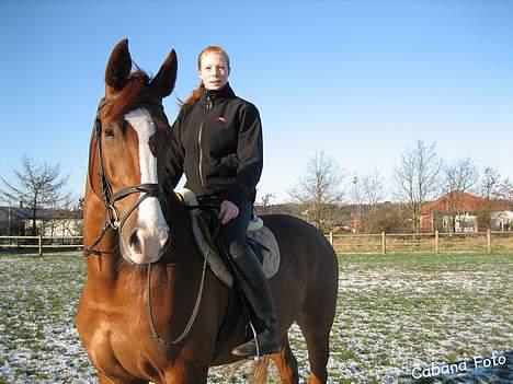 Oldenborg Mosegården Dukat solgt - hoov, hvad er det? © Cabana Foto billede 14