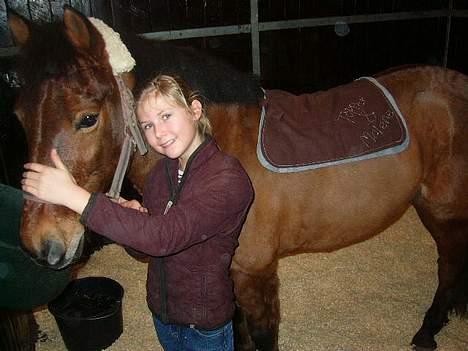 Anden særlig race My Little Pony - Solgt :( - lille topper er lige blevet operet på landbohøjdkolen med kæpen billede 1