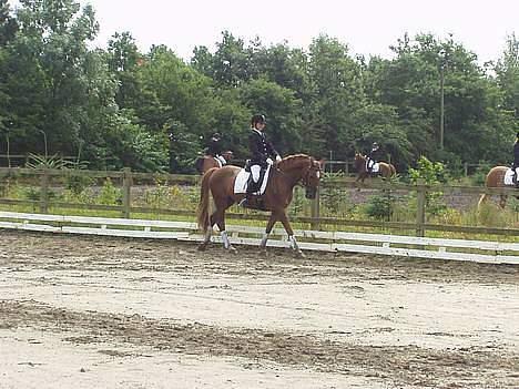 Anden særlig race Oliver - Mig og Oliver til vores første stævne på opvarmning billede 1