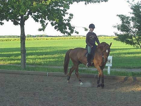 Anden særlig race Oliver - Mig og Oliver første dag jeg havde ham  billede 2