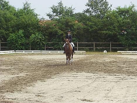 Anden særlig race Oliver - Mig og Oliver til vores første stævne  billede 3