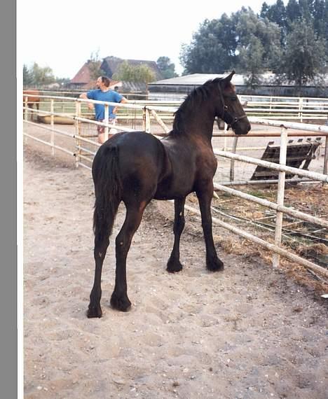 Frieser Wanne H men Master er ok - Jeg som "lille" dreng. billede 9