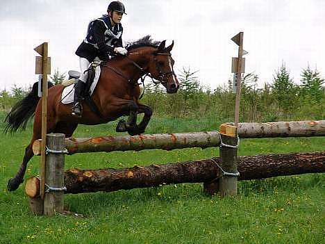 Arabisk fuldblod (OX) Ibn Sapa OX  - Mig og Sapa til military stævne på Finstrupgård i Aalborg  billede 7