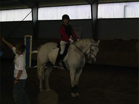 Connemara Maximillian af Ellebrud - Vandt klassen på 100cm!!:) billede 3