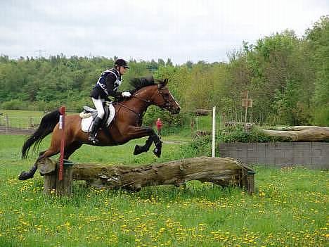 Arabisk fuldblod (OX) Ibn Sapa OX  - Mig og Sapa til military stævne på Finstrupgård i Aalborg:D billede 12