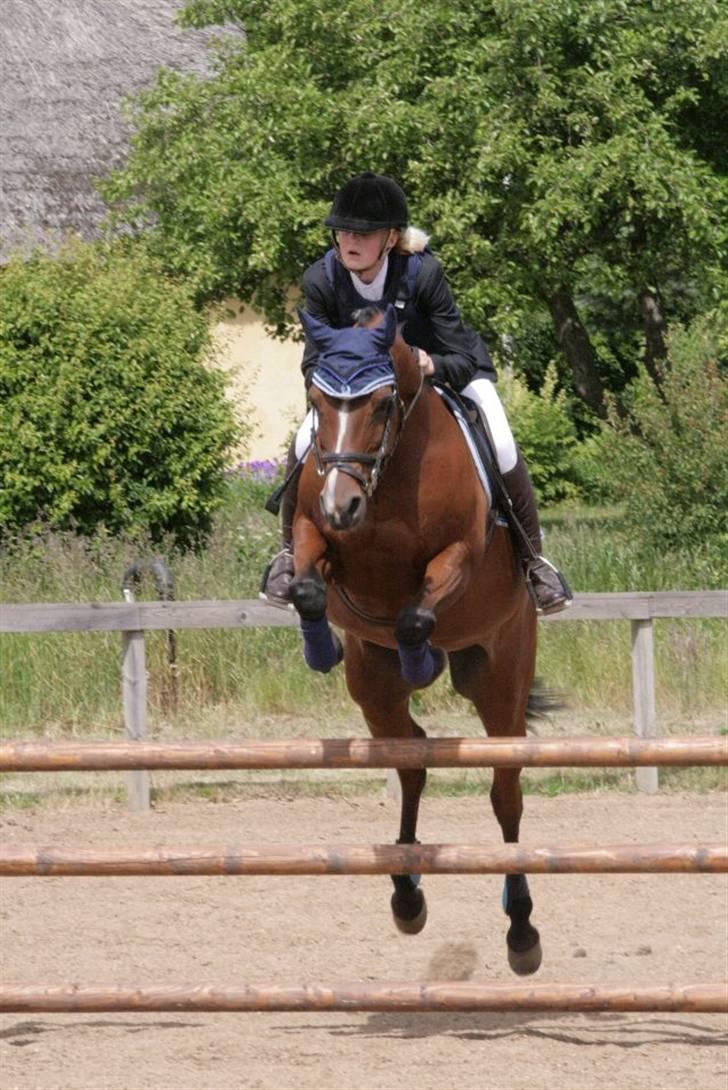 Arabisk fuldblod (OX) Ibn Sapa OX  - Mig og Sapa - gl. estrup , maj 2009 billede 13