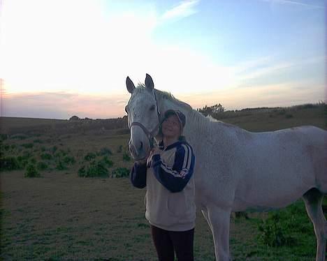 Anden særlig race Showboy - sommeraften 07 - tror jeg billede 4