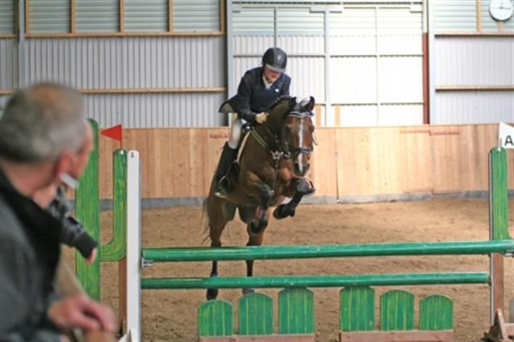 Arabisk fuldblod (OX) Ibn Sapa OX  - Sapa og mig - LA spring i Tørring Rideklub :) billede 14