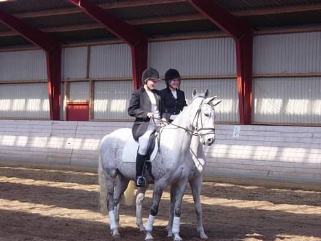 Anden særlig race Showboy - Stævne .. Emile til  venstre og prinsen og jeg gemmer os bag ved.. 2.plads billede 5