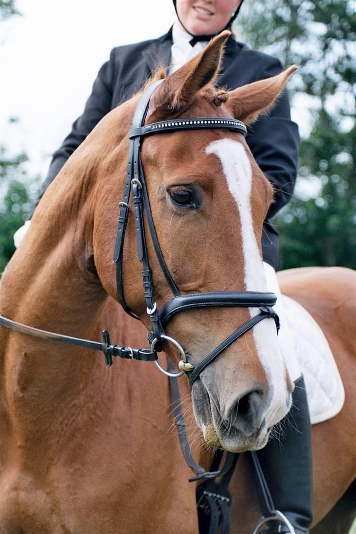 Anden særlig race Mon Ami Le Chantelle - er det ikke et flot billede af os to?? hehe billede 4