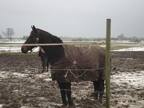 Anden særlig race Little Man Tate billede 3