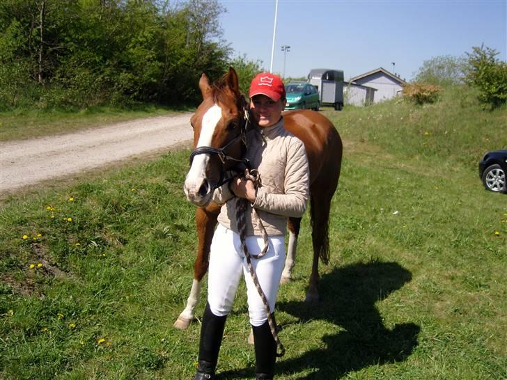 Tysk Sportspony Magic Boy B-Pony solgt - Efter stævne er der tid til lidt hygge billede 6