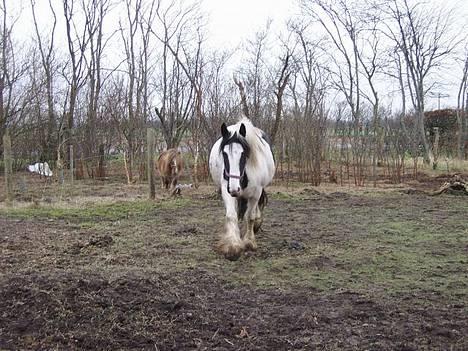 Tinker Chika Cherie - ja ja jeg kommer nu billede 2