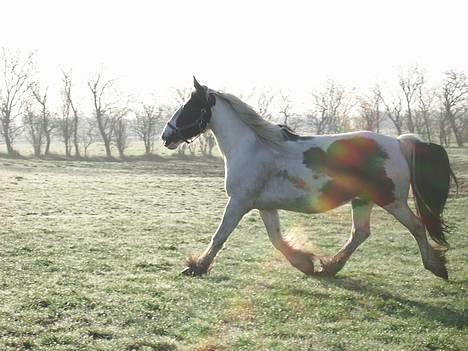 Tinker Chika Cherie - skal lige vise mig lidt billede 4