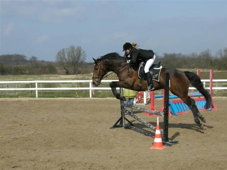 Dansk Varmblod Dijon - RVV 1. springstævne på Dijon 12/4-08 billede 3