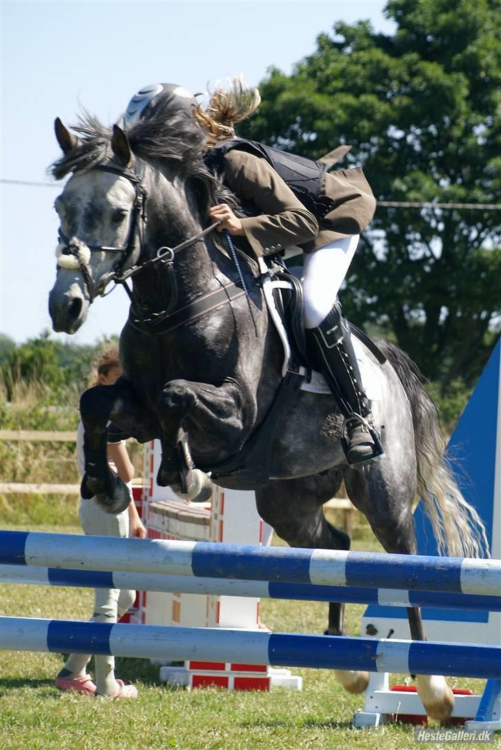 Anden særlig race (¯`v´¯)JAZZ - jazz og mig i Kellerup billede 3