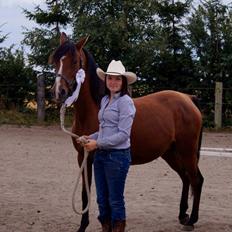 Arabisk fuldblod (OX) AC Jehmira