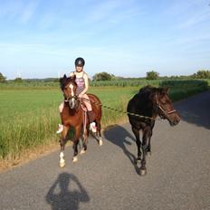 Anden særlig race Sweet Heart <3