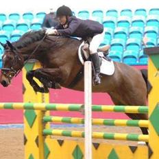 Dansk Varmblod Zenta Enemærke