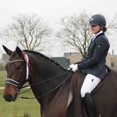 Oldenborg Hestbækvejens Begman - A Hest