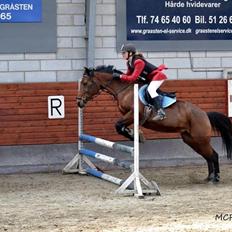 Hollandsk Sportspony Melanie's Lady  B-PONY