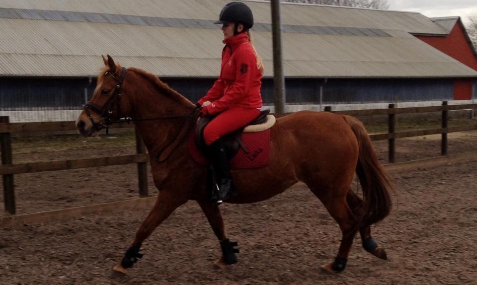 Anden særlig race Laika <3  - Galop <3 billede 12