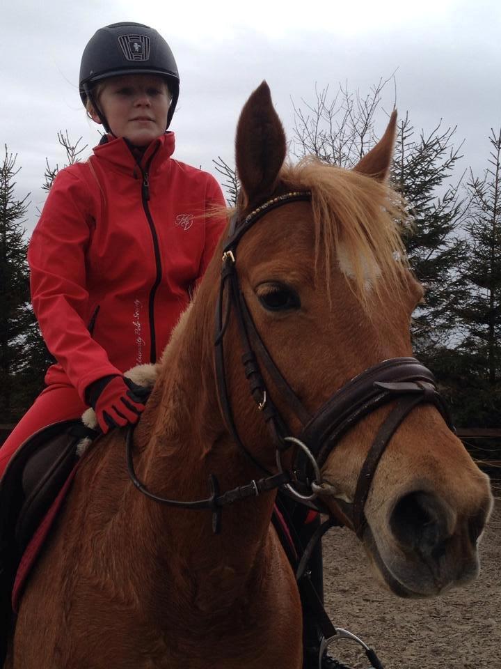 Anden særlig race Laika <3  - Laika og jeg i rødt outfit <3 billede 13