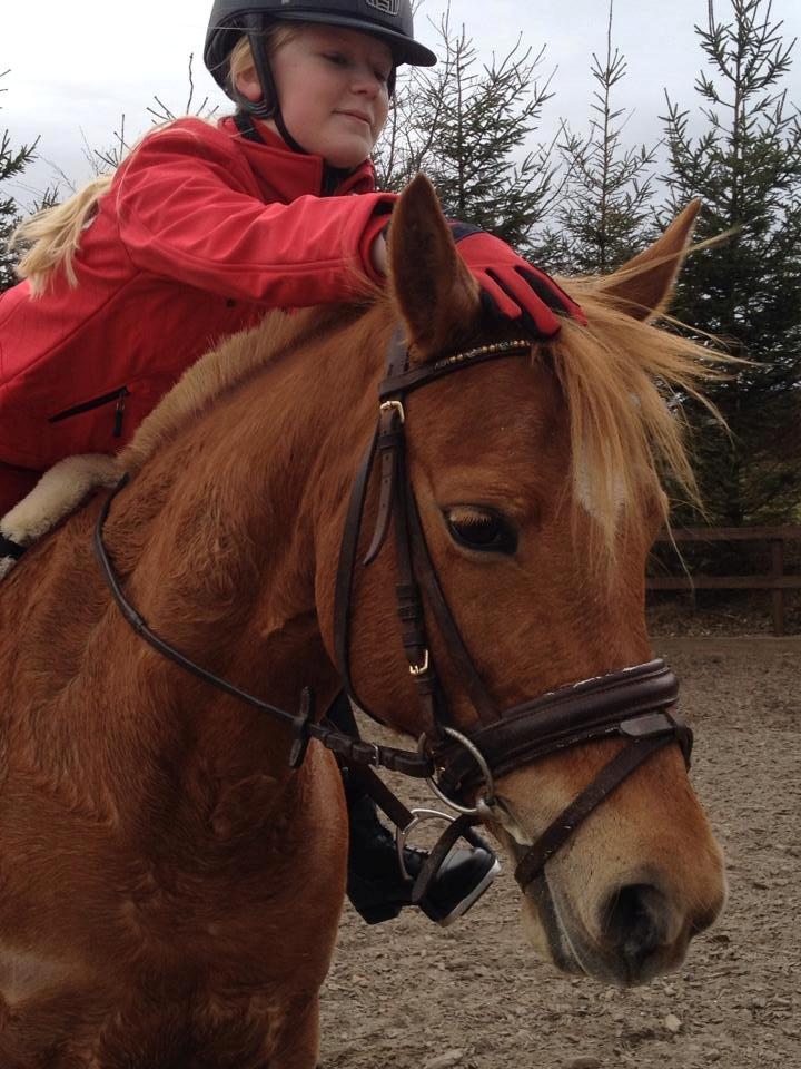 Anden særlig race Laika <3  - :') billede 22