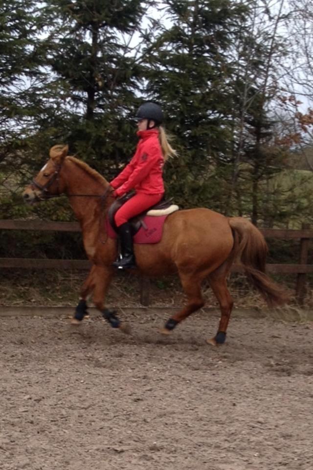 Anden særlig race Laika <3  - Verdens dejligste Laika mus <3 billede 19