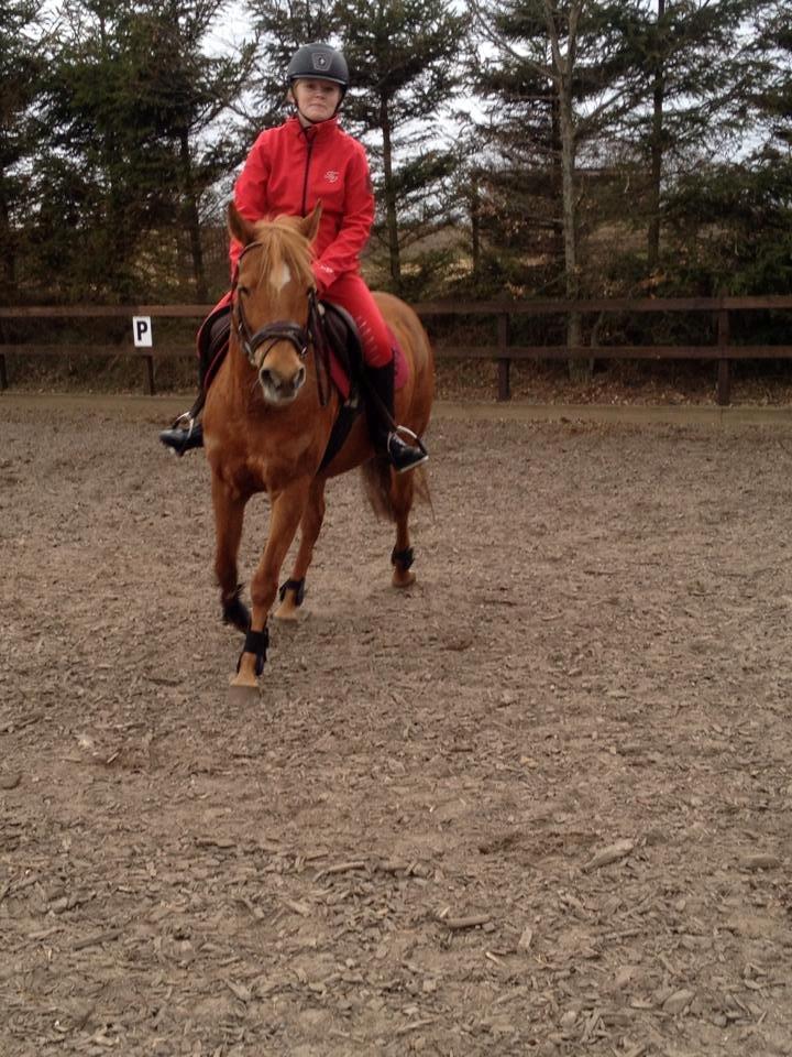 Anden særlig race Laika <3  - <3<3 billede 17