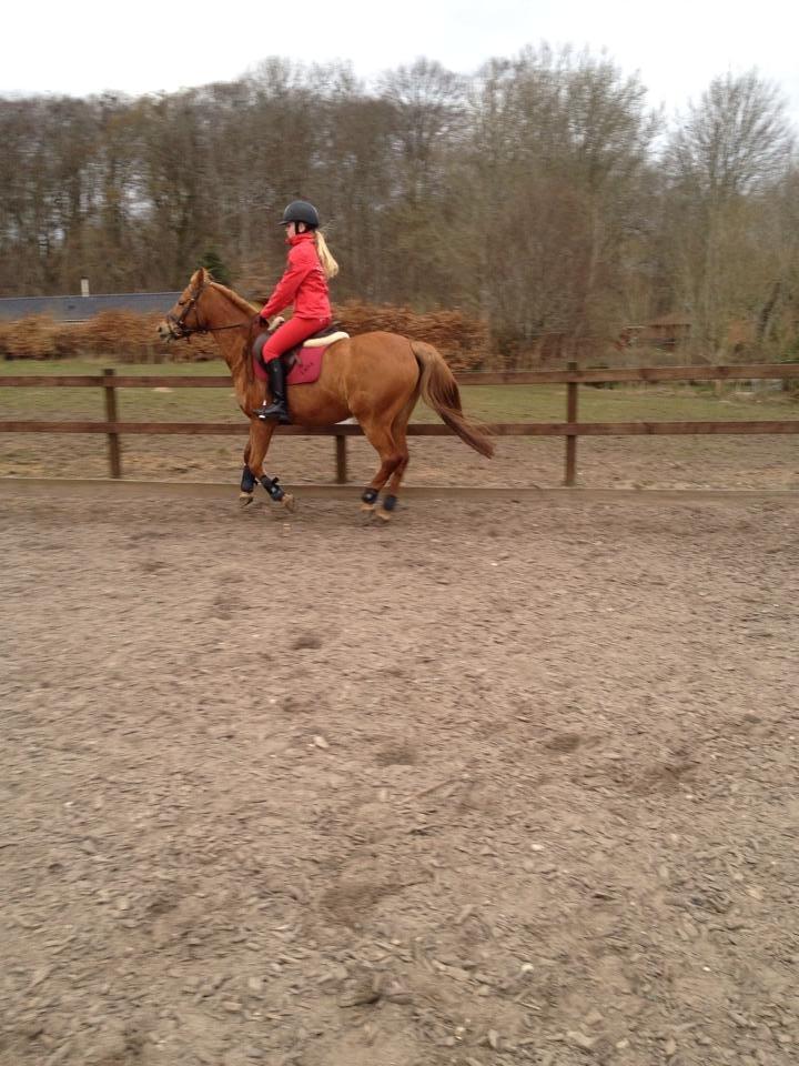 Anden særlig race Laika <3  - Galop :) <3 billede 25