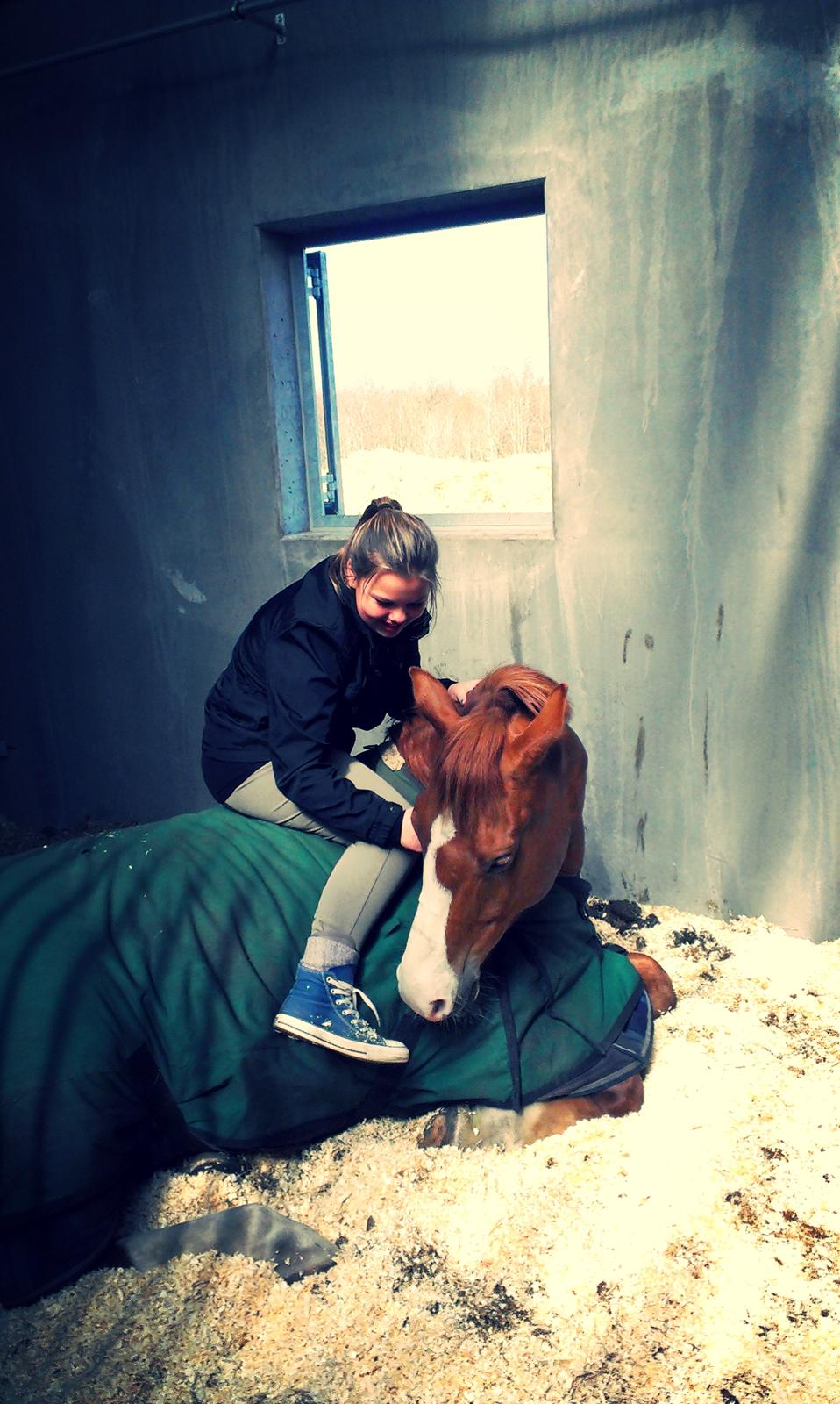 Anden særlig race Milando - Han er bare den bedste! ♥ billede 16