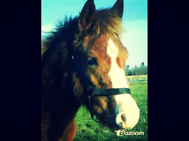 Anden særlig race Milando - Du er bare F A N T A S T I S K ♥ billede 18